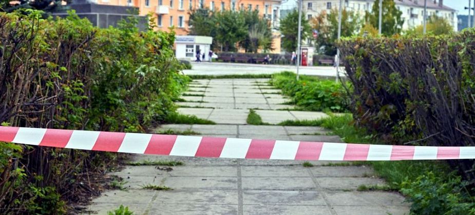 Выбрали подрядчика для акарицидной обработки общественных пространств
