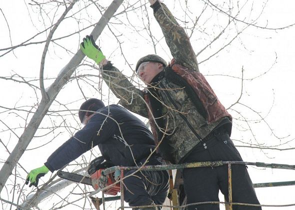 В Краснотурьинске повалят 30 сухих деревьев