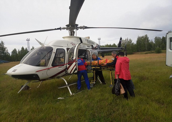 Ребенка с укусом змеи в Екатеринбург доставили вертолетом