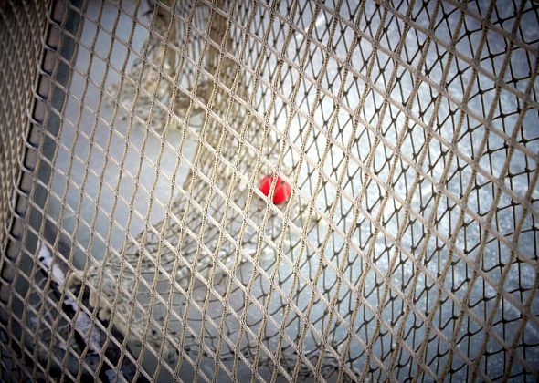 Краснотурьинец вызван в юношескую сборную страны по хоккею с мячом