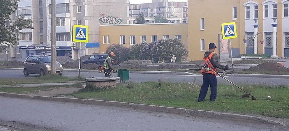 Более полутора миллионов рублей выделяют на кошение травы