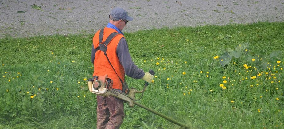 На покосе травы вдоль автодорог можно заработать более 2 миллионов рублей