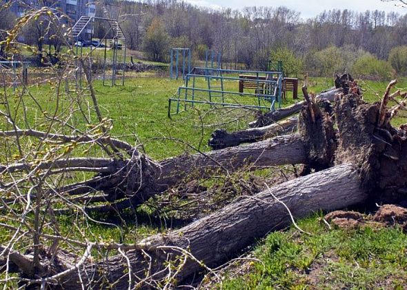 В Краснотурьинске спилят 63 дерева