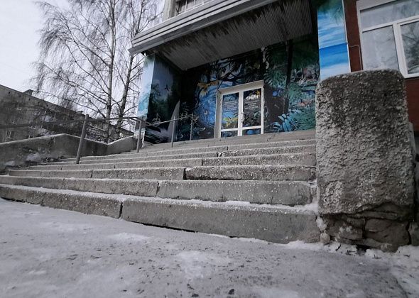 Юннаты из Краснотурьинска завоевали три первых места на областном экологическом форуме