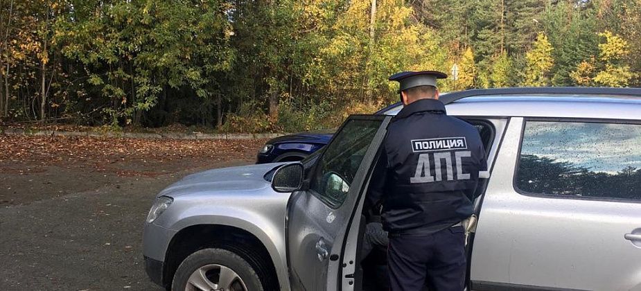 Полиция выйдет в дорожные рейды с камерами
