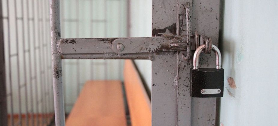 В Свердловской области осуждена многодетная мать, пытавшаяся продать ребенка