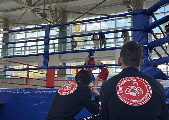 Завершился юбилейный турнир по боксу памяти Владимира Литке