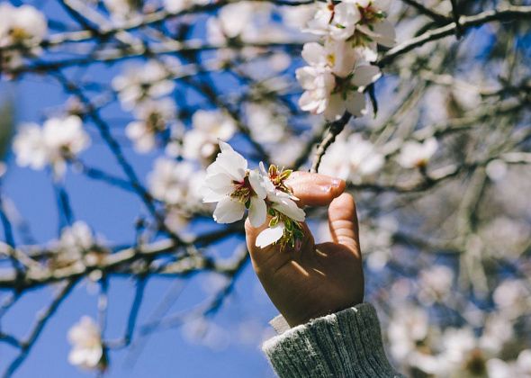 Весна – время обновления и перемен 