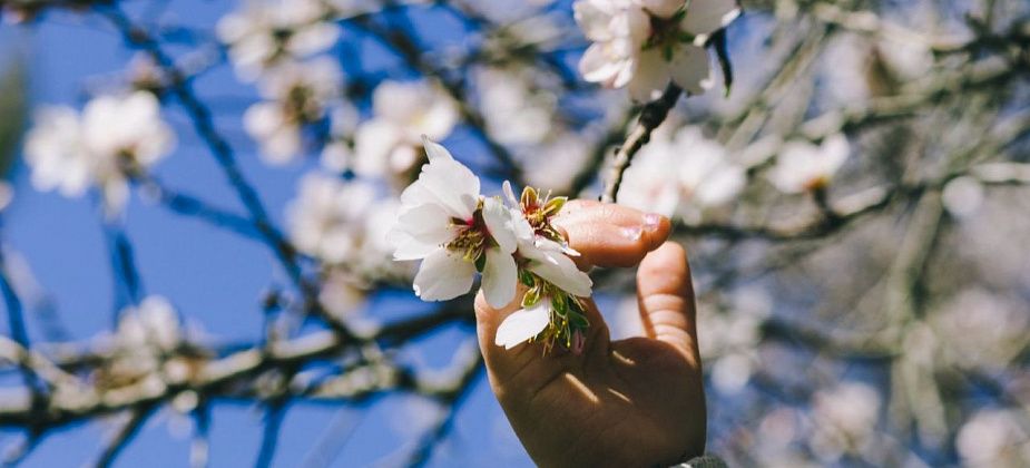Весна – время обновления и перемен 