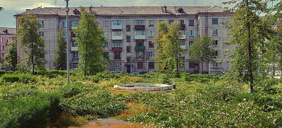 Тихомировский парк остался без тополей
