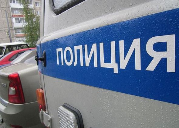 Краснотурьинец выращивал в гараже коноплю и продавал ее машинисту котельной. Для распространения