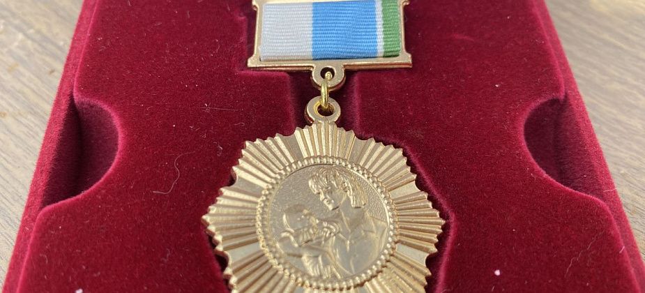 Краснотурьинцы — среди награжденных знаками отличия 