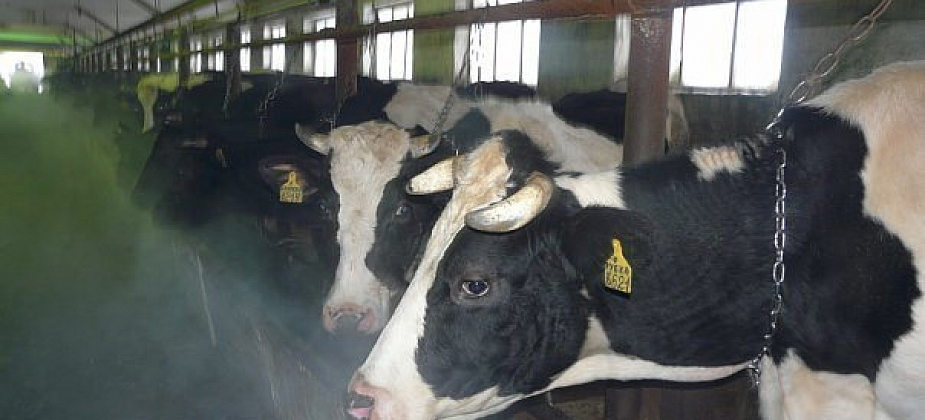 Роспотребнадзор подал иск к совхозу из-за нарушения санитарных норм