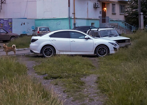 В Краснотурьинске начали штрафовать за парковку на газоне. Штраф от 3000 рублей