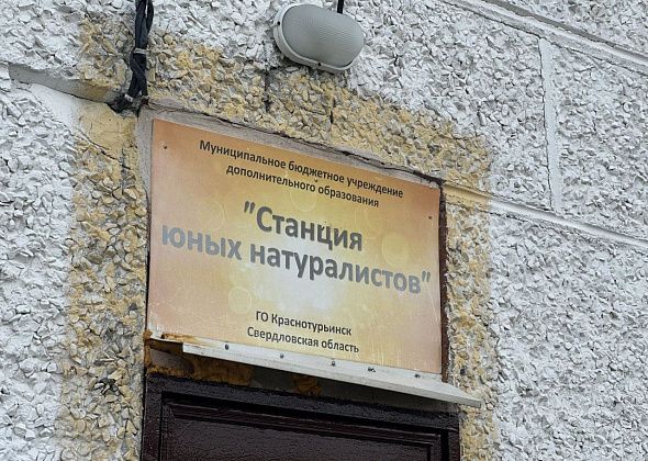 Школьники из Краснотурьинска привезли награды с экологического слета в Санкт-Петербурге