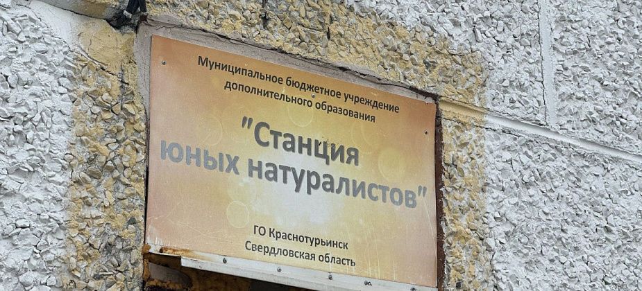 Школьники из Краснотурьинска привезли награды с экологического слета в Санкт-Петербурге