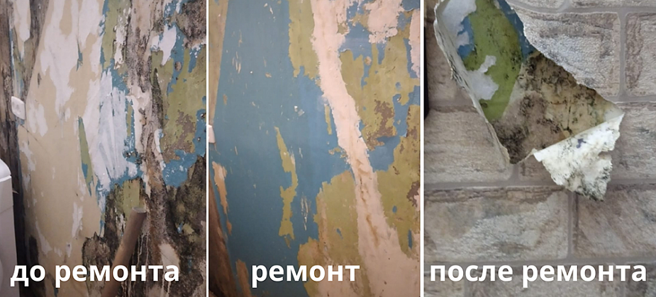 Из-за чего в квартире появляется плесень?