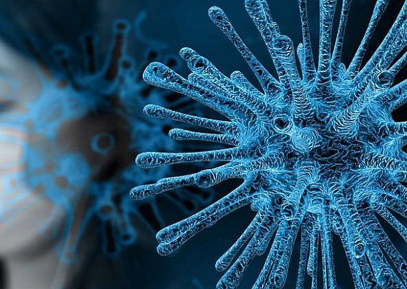 ГЛАВНОЕ: Как избежать паники, когда вокруг все говорят о коронавирусе?