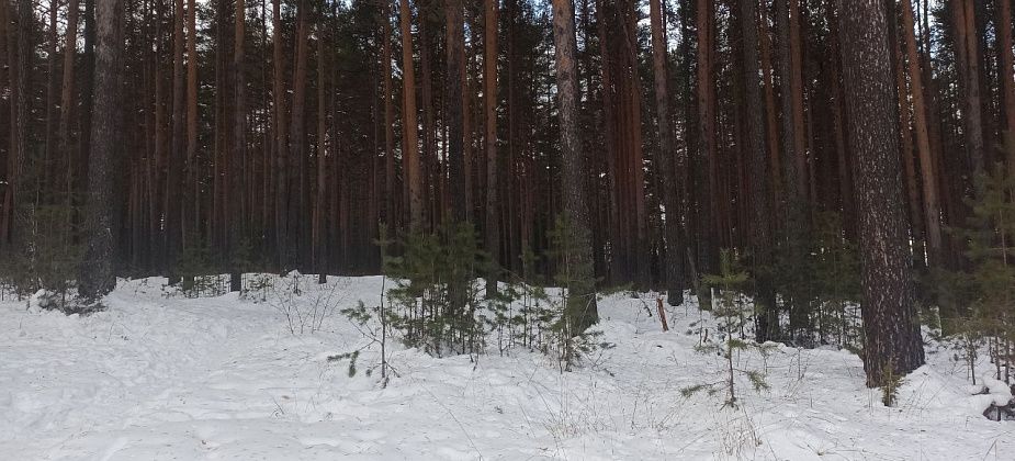 Приметы на 23 марта. Не устраиваем пышные застолья, не отказываем в помощи