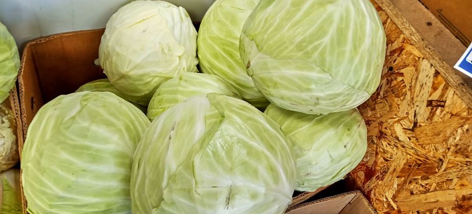 Овощи потеснили детское питание по темпам подорожания за неделю