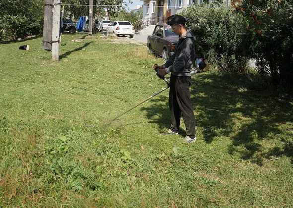Краснотурьинский предприниматель будет косить траву в Карпинске