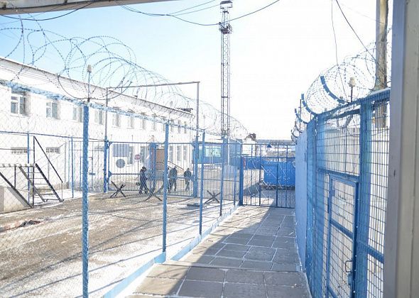 Осужденного за насилие и оскорбление представителя власти освободили по УДО