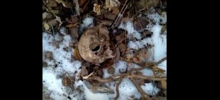 На кладбище нашли человеческий череп. ВИДЕО