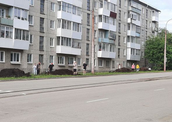 Новые клумбы появятся в нескольких частях города 