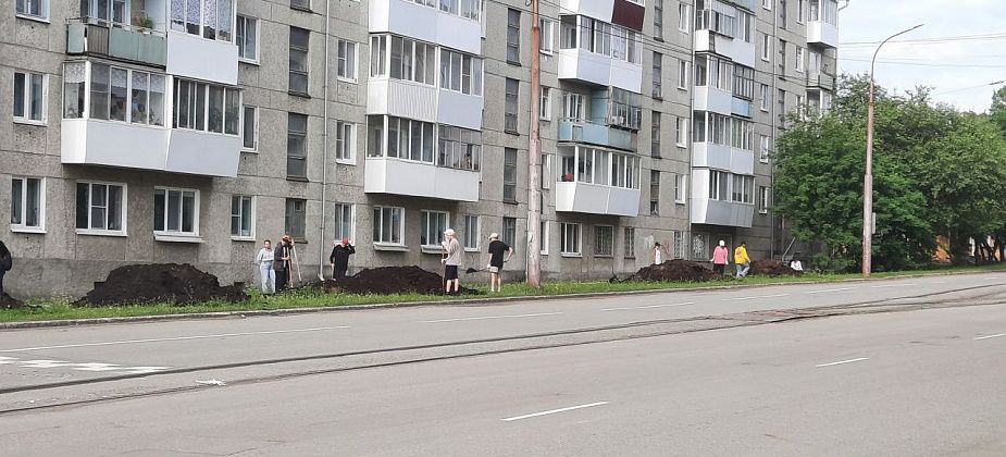 Новые клумбы появятся в нескольких частях города 
