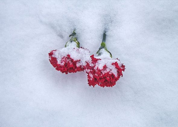 Краснотурьинцы почтили память участников Афганской войны