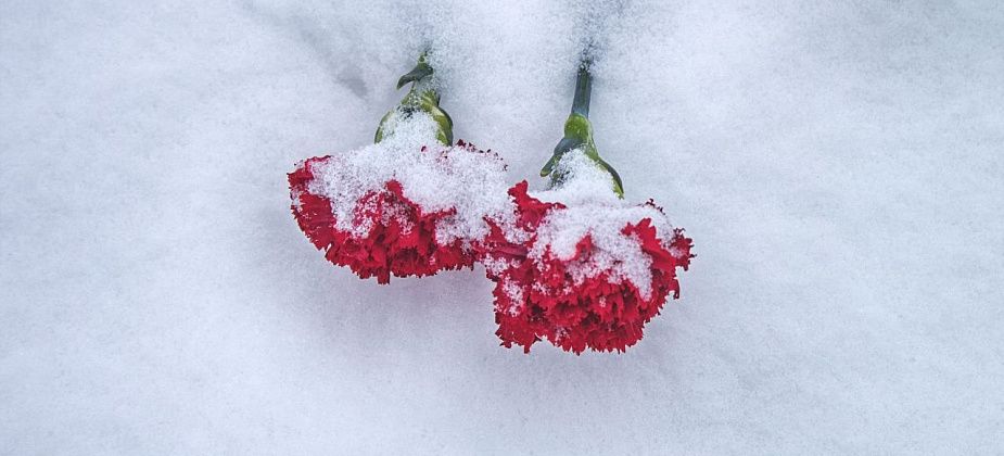 Краснотурьинцы почтили память участников Афганской войны