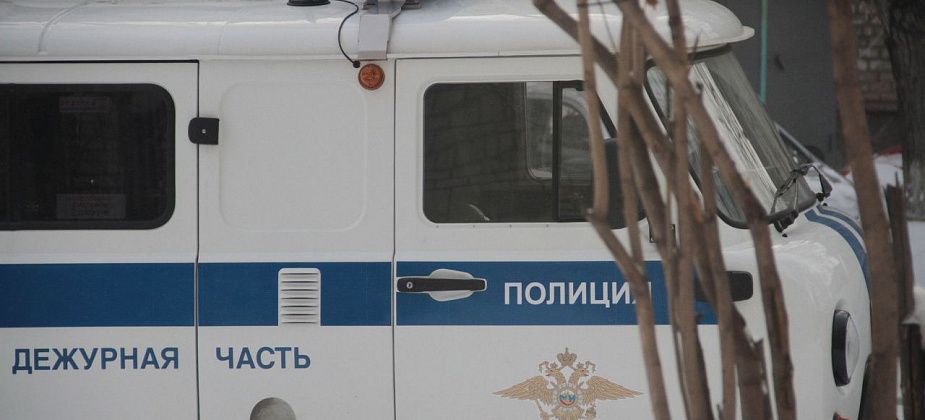 Горожанина, встававшего "в боевую стойку" перед полицейскими, арестовали