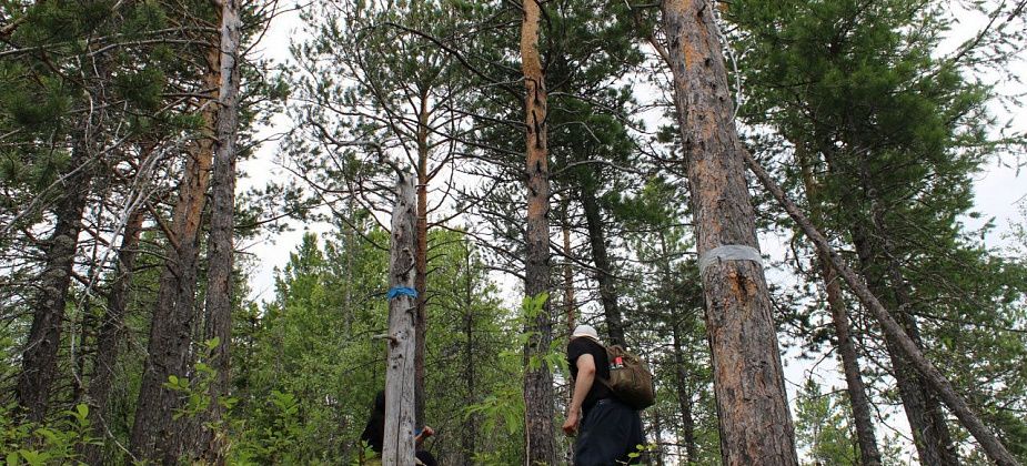 Жителей Краснотурьинска предупреждают о взрывных работах в конце октября
