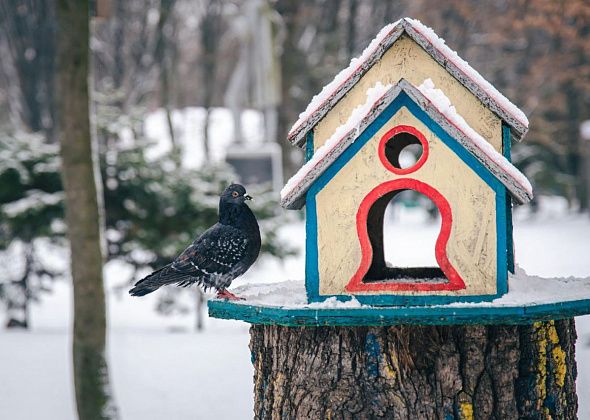 Акция «Покормите птиц зимой» прошла в детских садах Краснотурьинска