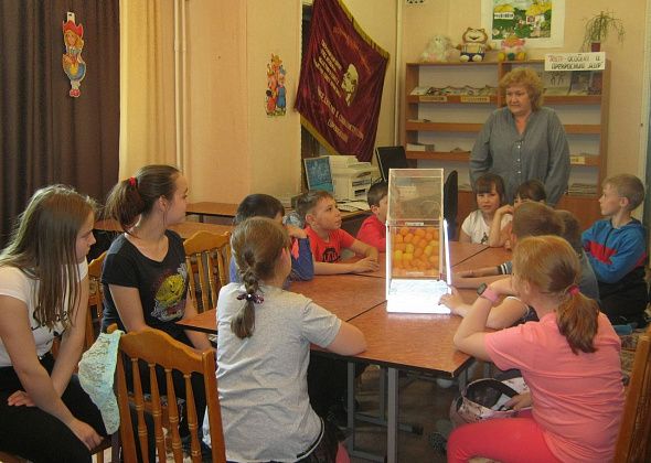 Дети в поселке Рудничный участвовали в веселой лотерее