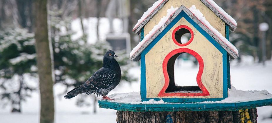 Акция «Покормите птиц зимой» прошла в детских садах Краснотурьинска
