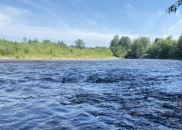 На выходные синоптики обещают жаркую погоду и грозы