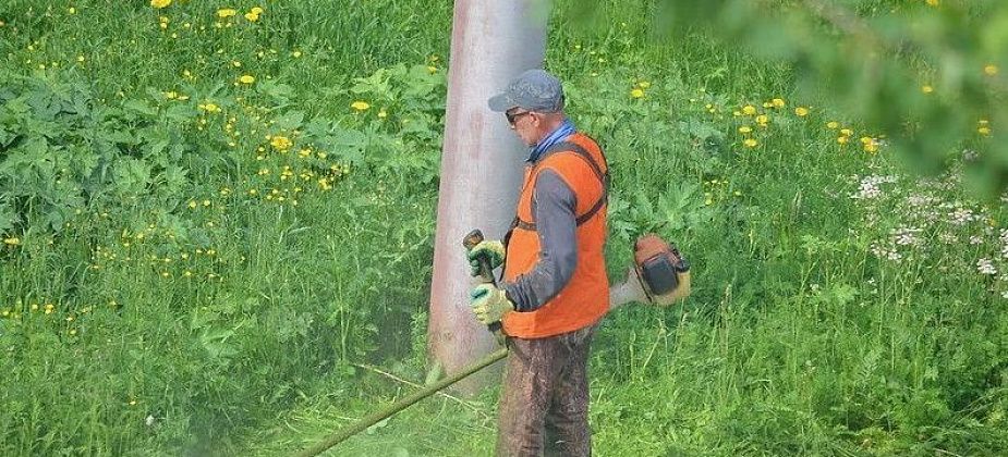 Бюджет Краснотурьинска сэкономил 600 тысяч на покосе травы  