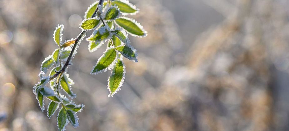 Приметы на 15 февраля. Встречаем весну, не прибираемся дома