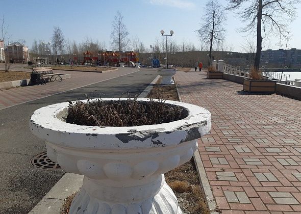 На ремонте вазонов можно заработать 277 тысяч рублей