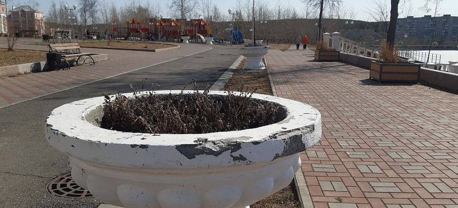 На ремонте вазонов можно заработать 277 тысяч рублей