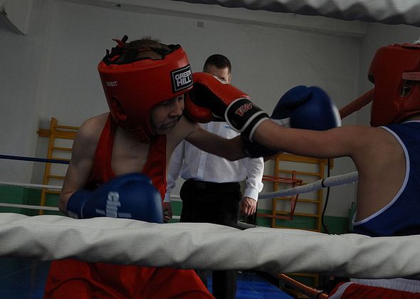 В Карпинске краснотурьинские боксеры стали лучшими