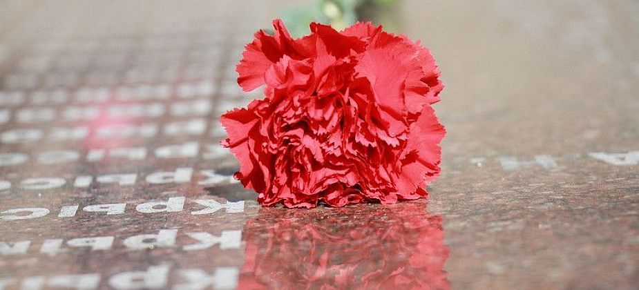 Мэрии Краснотурьинска нужны гвоздики