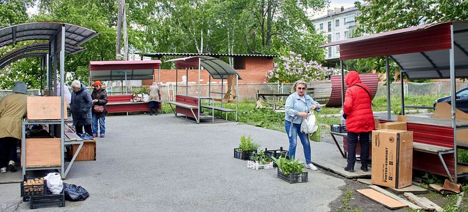 В Краснотурьинске запретили торговать на «мини-рынке» 