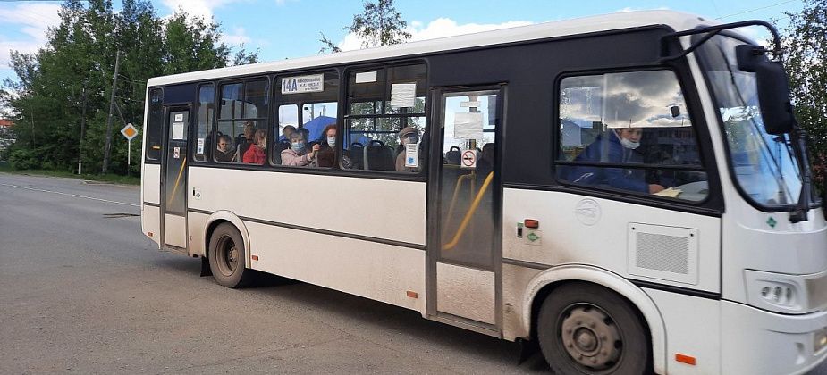 Два маршрута в Краснотурьинске сделают социально-значимыми