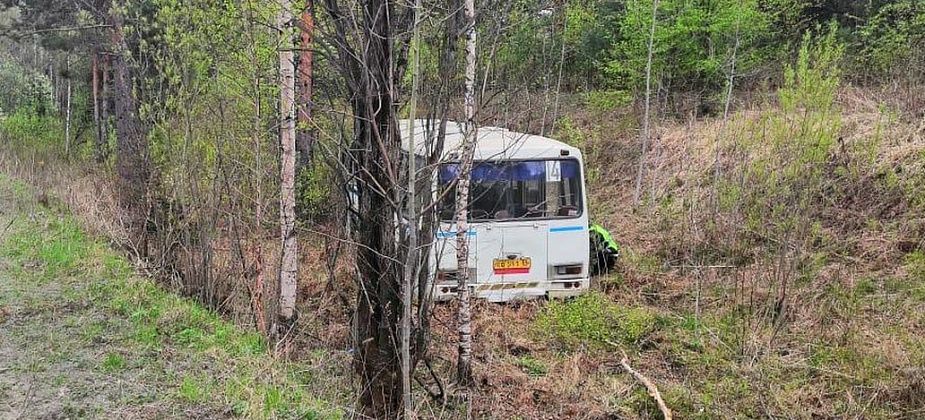 В Краснотурьинске рейсовый автобус съехал в кювет и врезался в дерево
