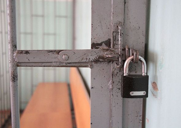 Отец шестерых детей из Серова наказан за покупку наркотиков в Краснотурьинске