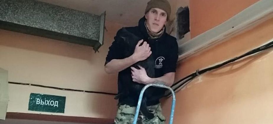 В Краснотурьинске спасли кота, несколько суток просидевшего в вентиляционной шахте