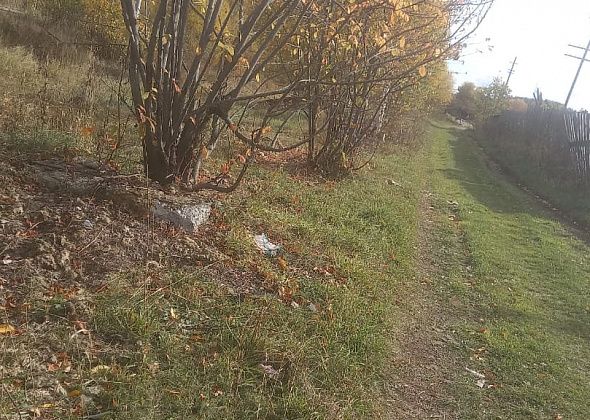 Стекловату на Рудничном убрали, но свалка растет