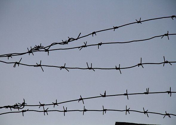 Татуировка со свастикой обернулась штрафом для подследственного